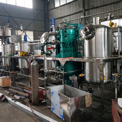 食用油加工设备 一级核桃油精炼设备 生产茶籽油机器 花生油机器